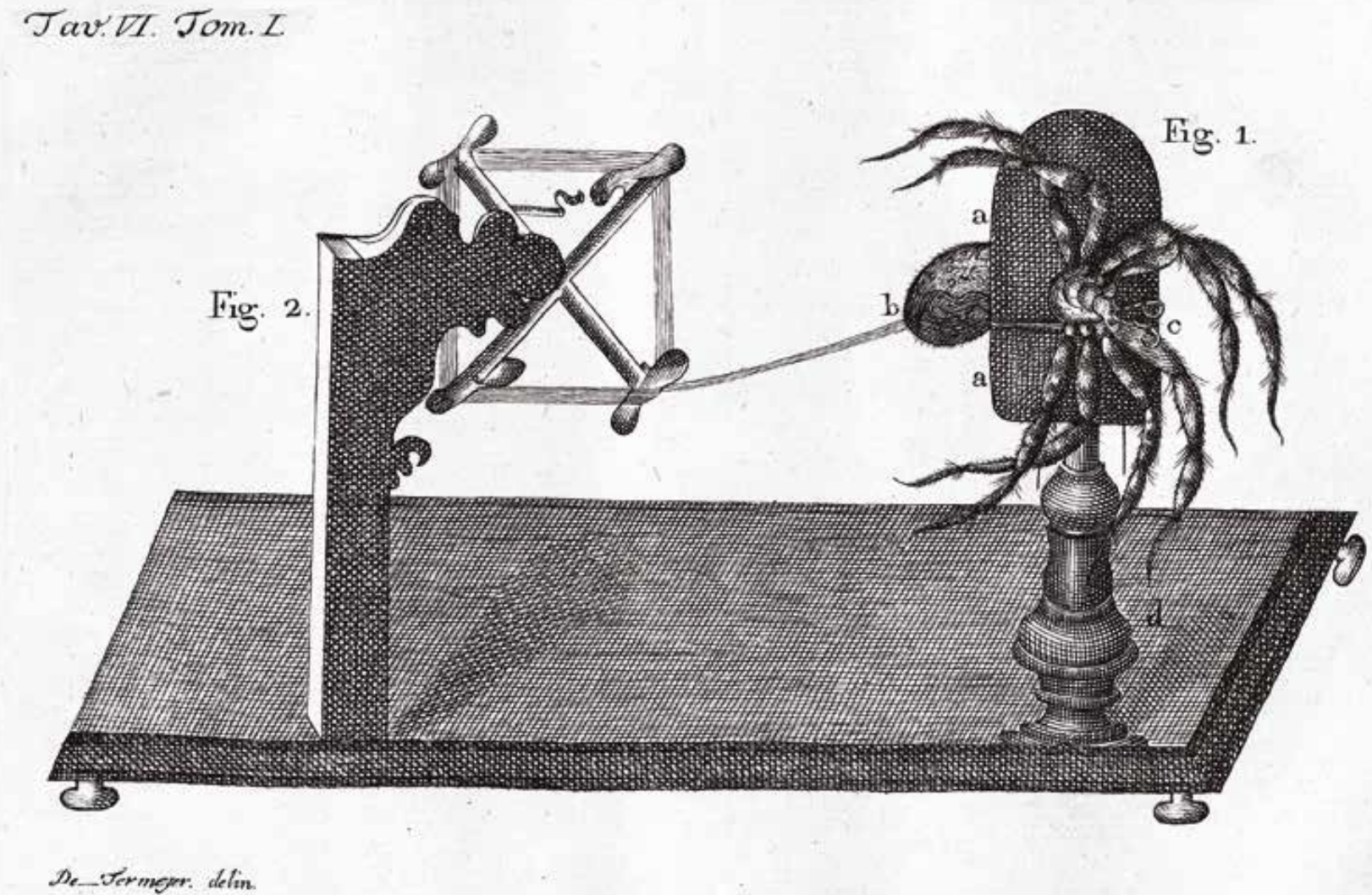 Eighteenth-century engraving of a spider silk reeling device
